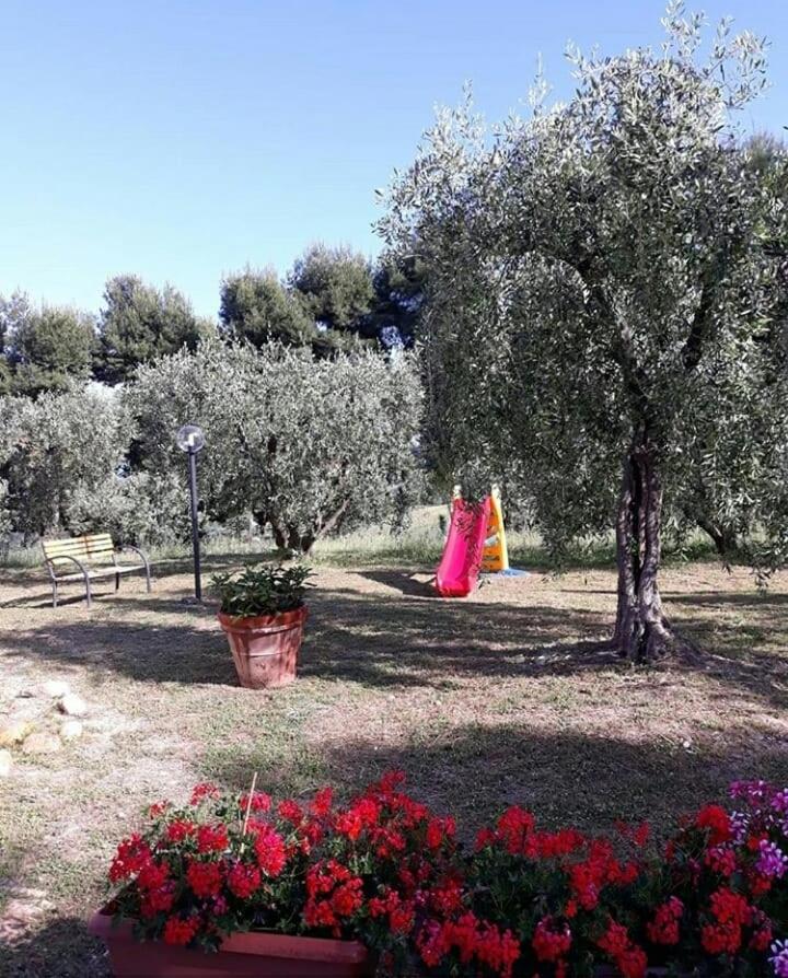 La Collina Sul Mare Panzió Marina Palmense Kültér fotó