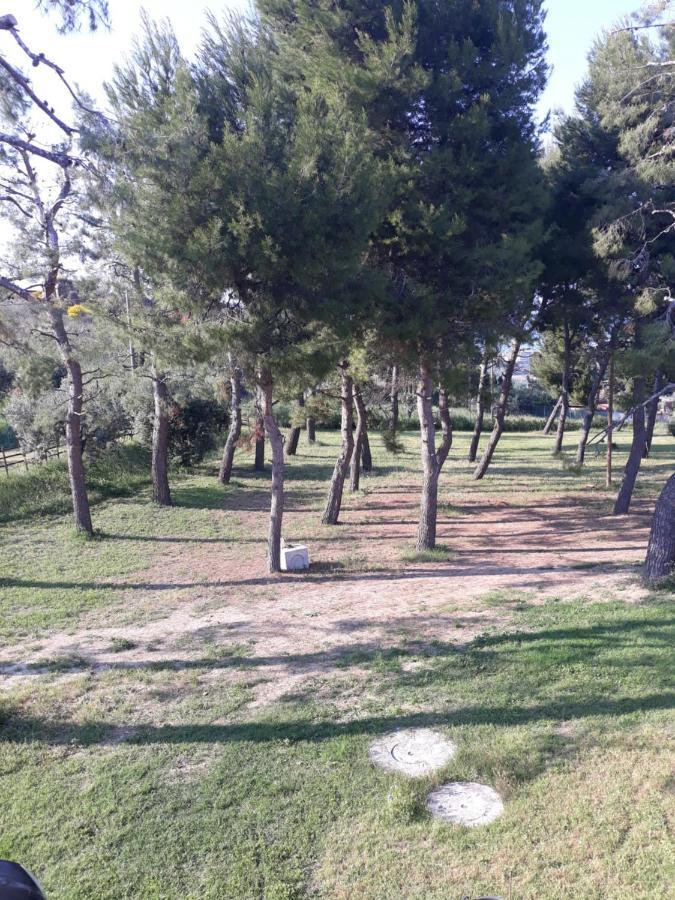 La Collina Sul Mare Panzió Marina Palmense Kültér fotó